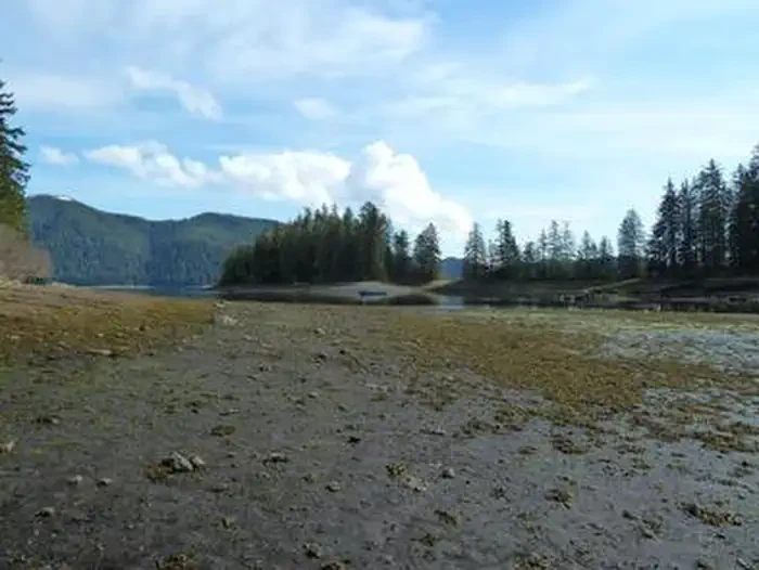 Pybus Bay Cabin