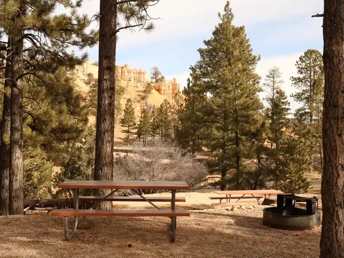 North Campground (UT)