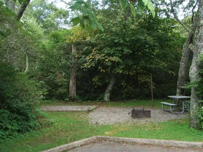 D29
