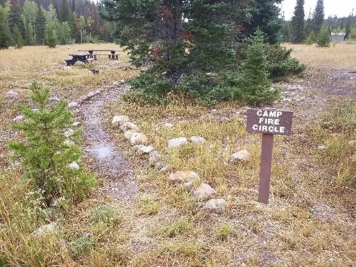 Group Site