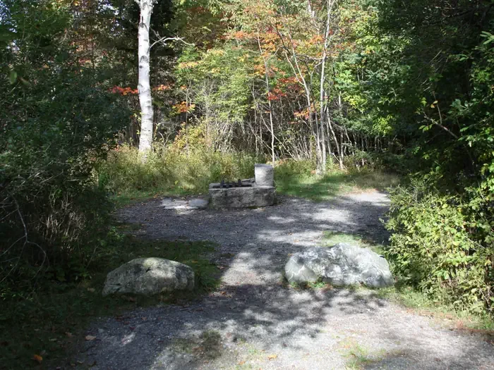 A11