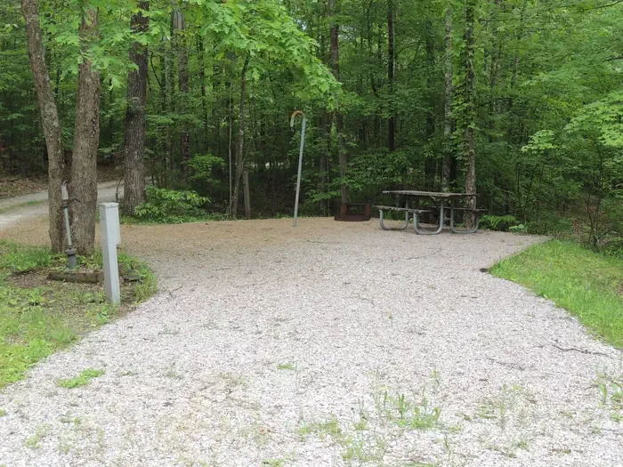 15 (with new paddock)