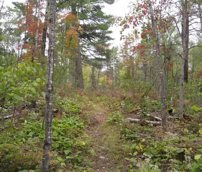 Fenske Lake Campground