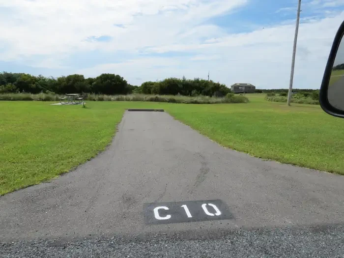 C010