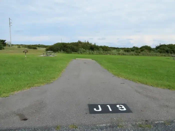 J019
