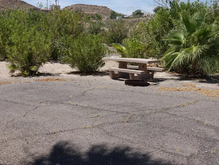 Site 37