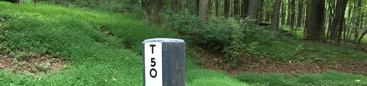 T50