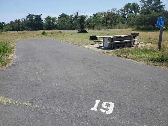 A19