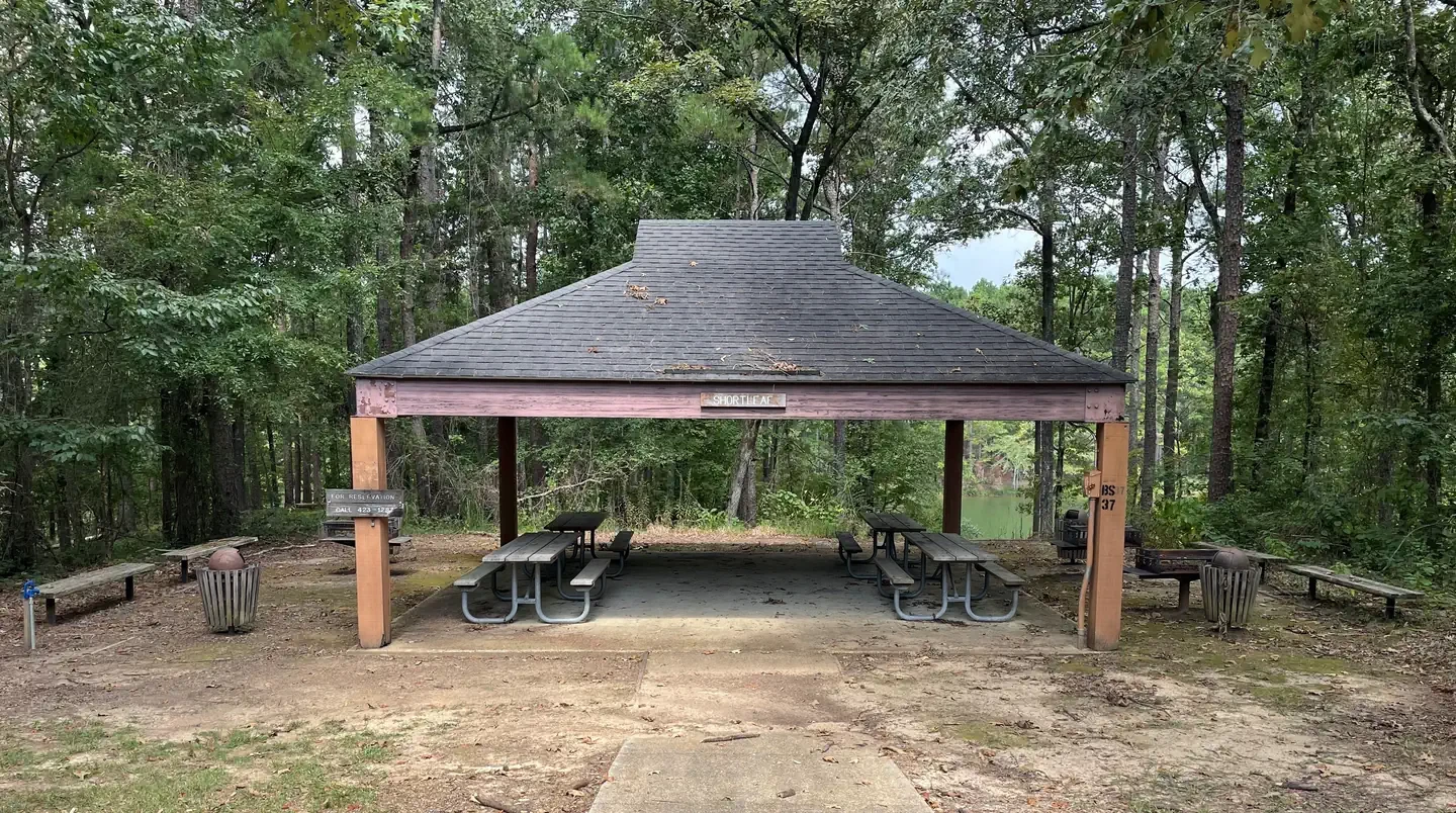 Short Leaf Picnic Shelter