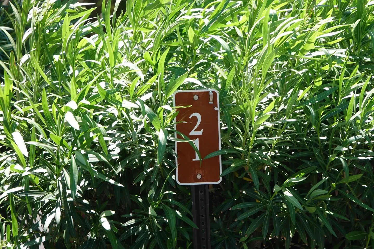 Site 21