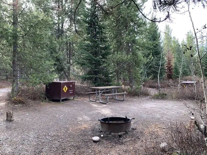 65