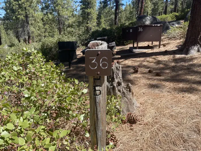 36
