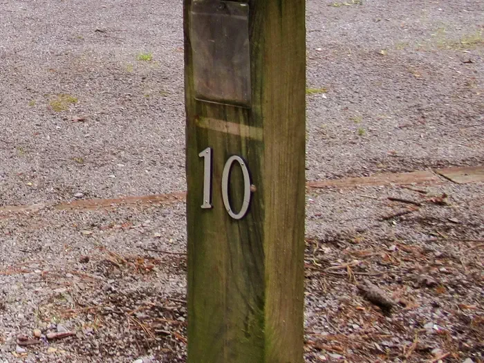 10