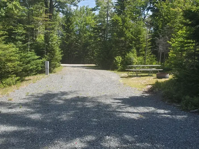 B14