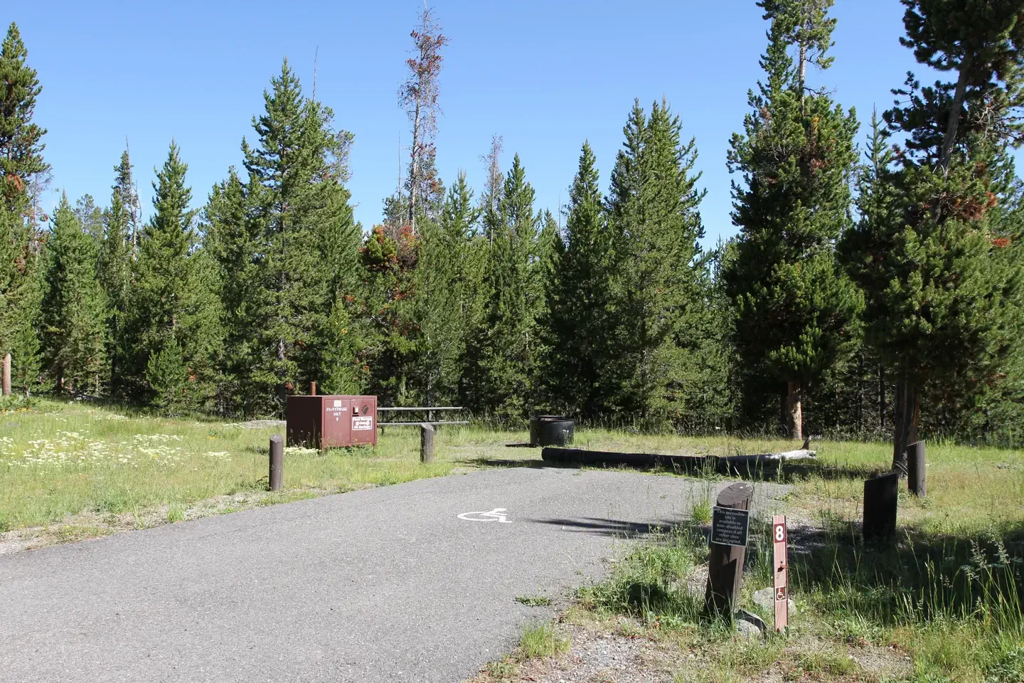 Indian Creek site #8