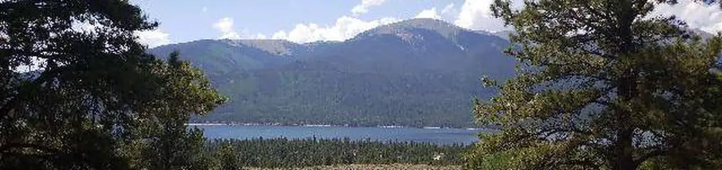 F006