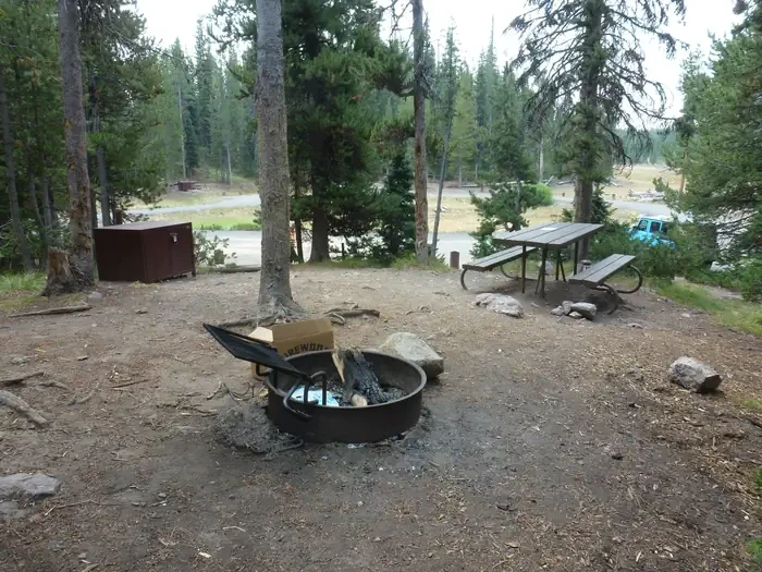 Lewis Lake site #10