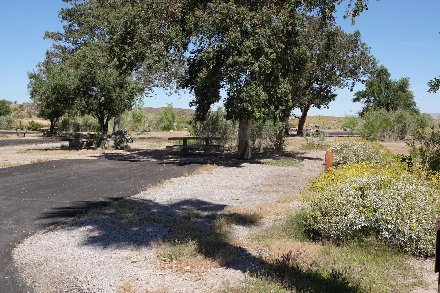 Site 5