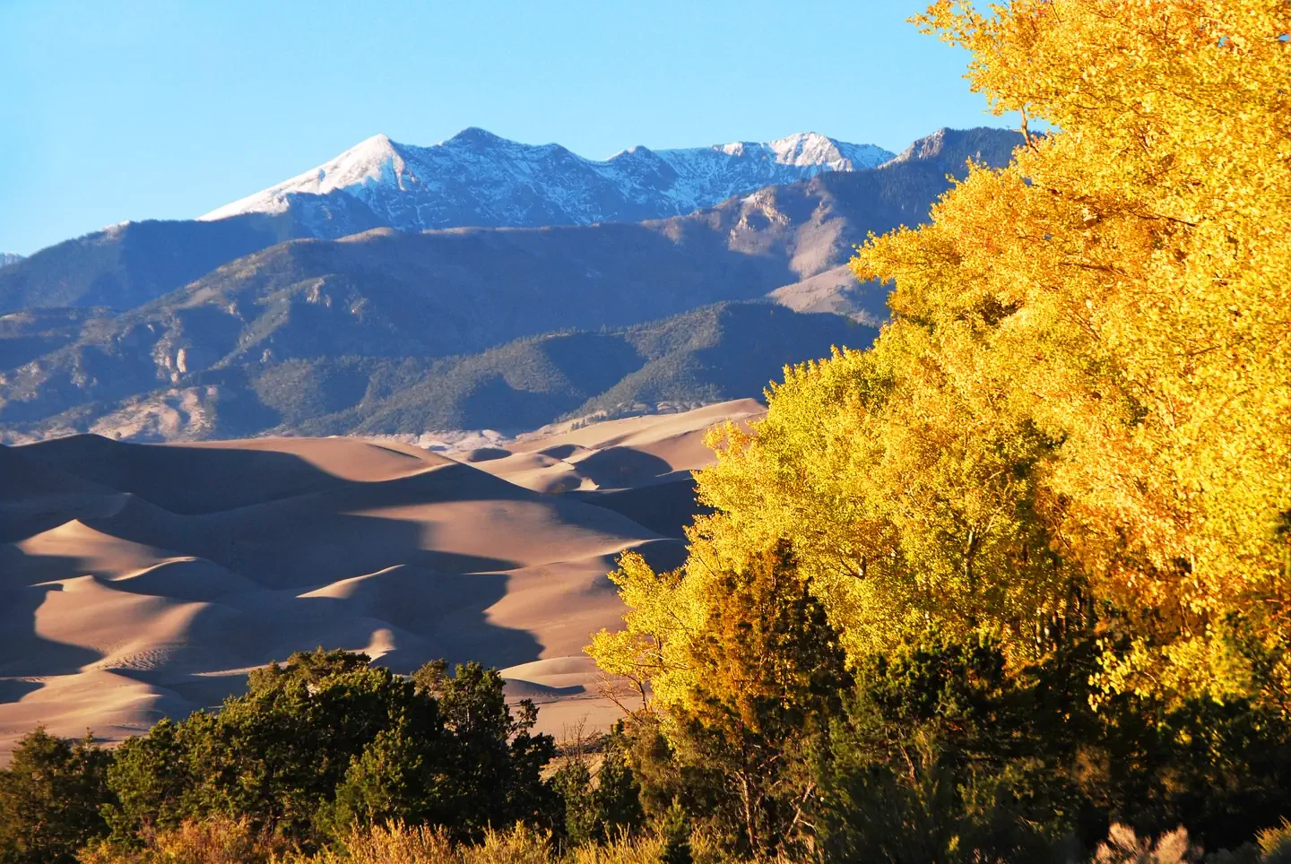 Great Sand Dunes National Park & Preserve