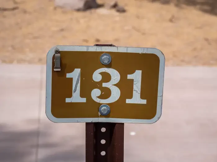 Site 131