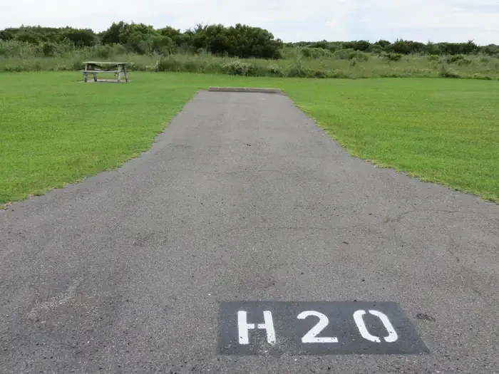 H020