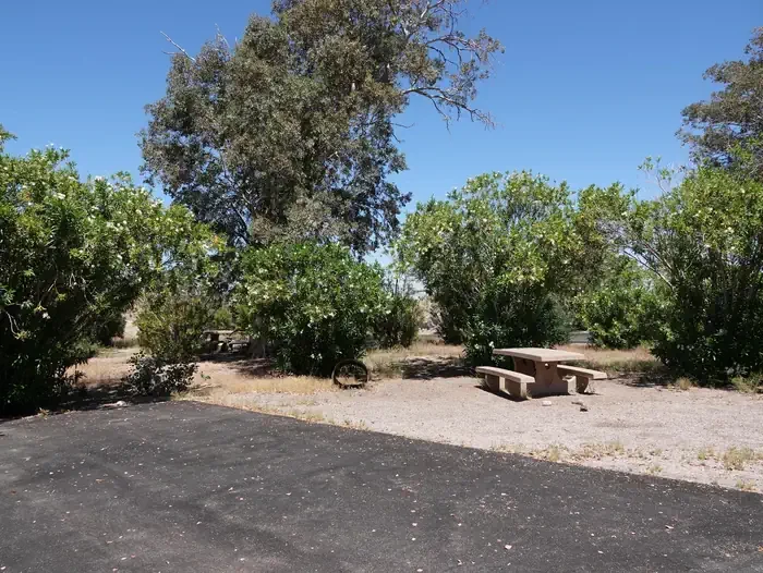Site 29