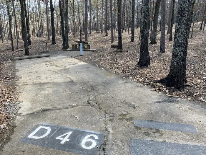 D46
