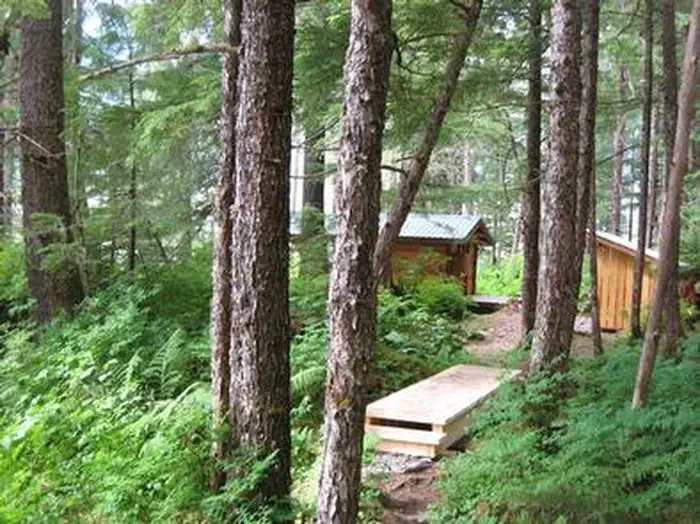 Petersburg Lake Cabin
