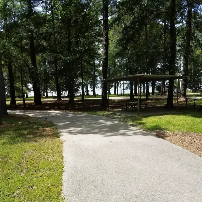 67