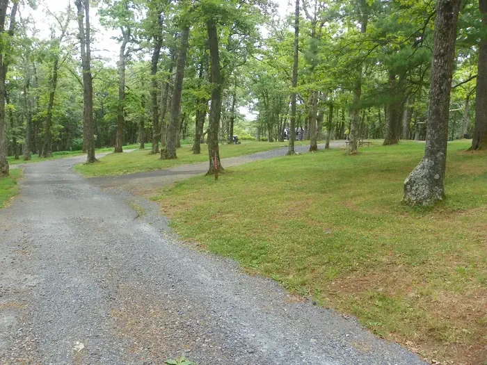 I229