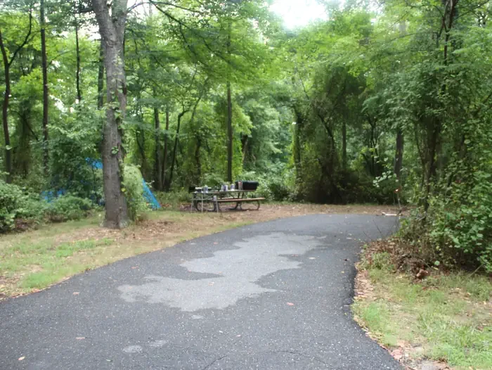D131