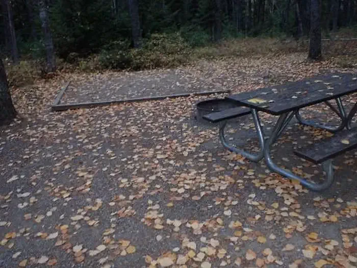 A50