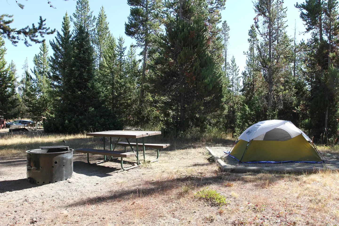 Indian Creek site #66
