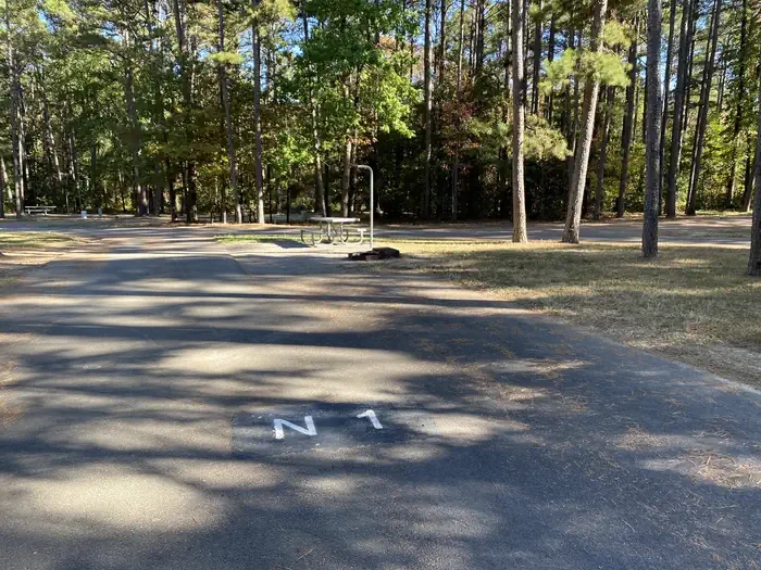 N01