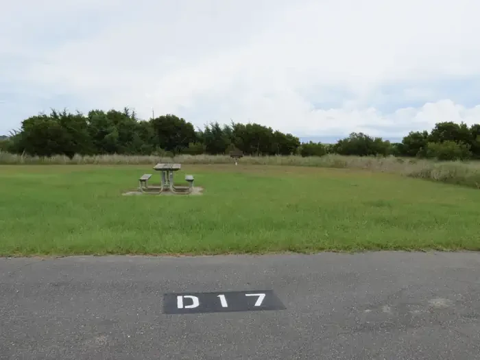 D017