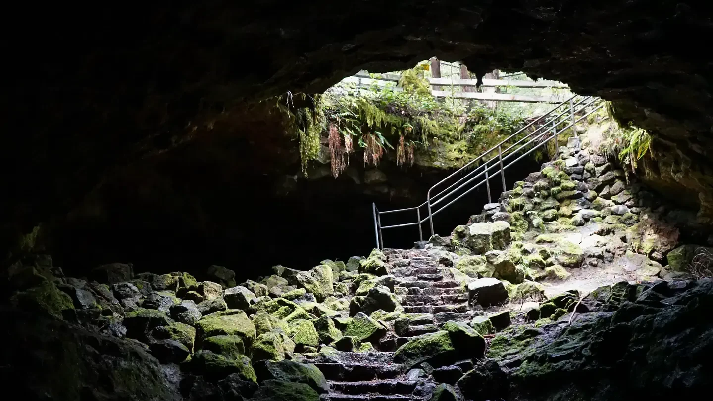 Ape Cave Interpretive Site Ticket