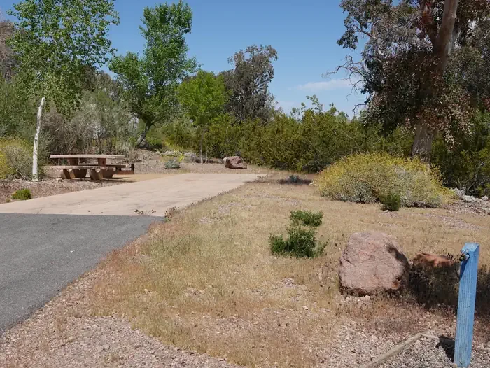 Site 12