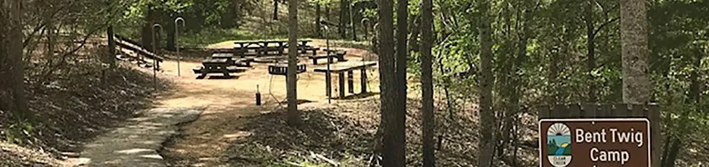 Bent Twig Camp