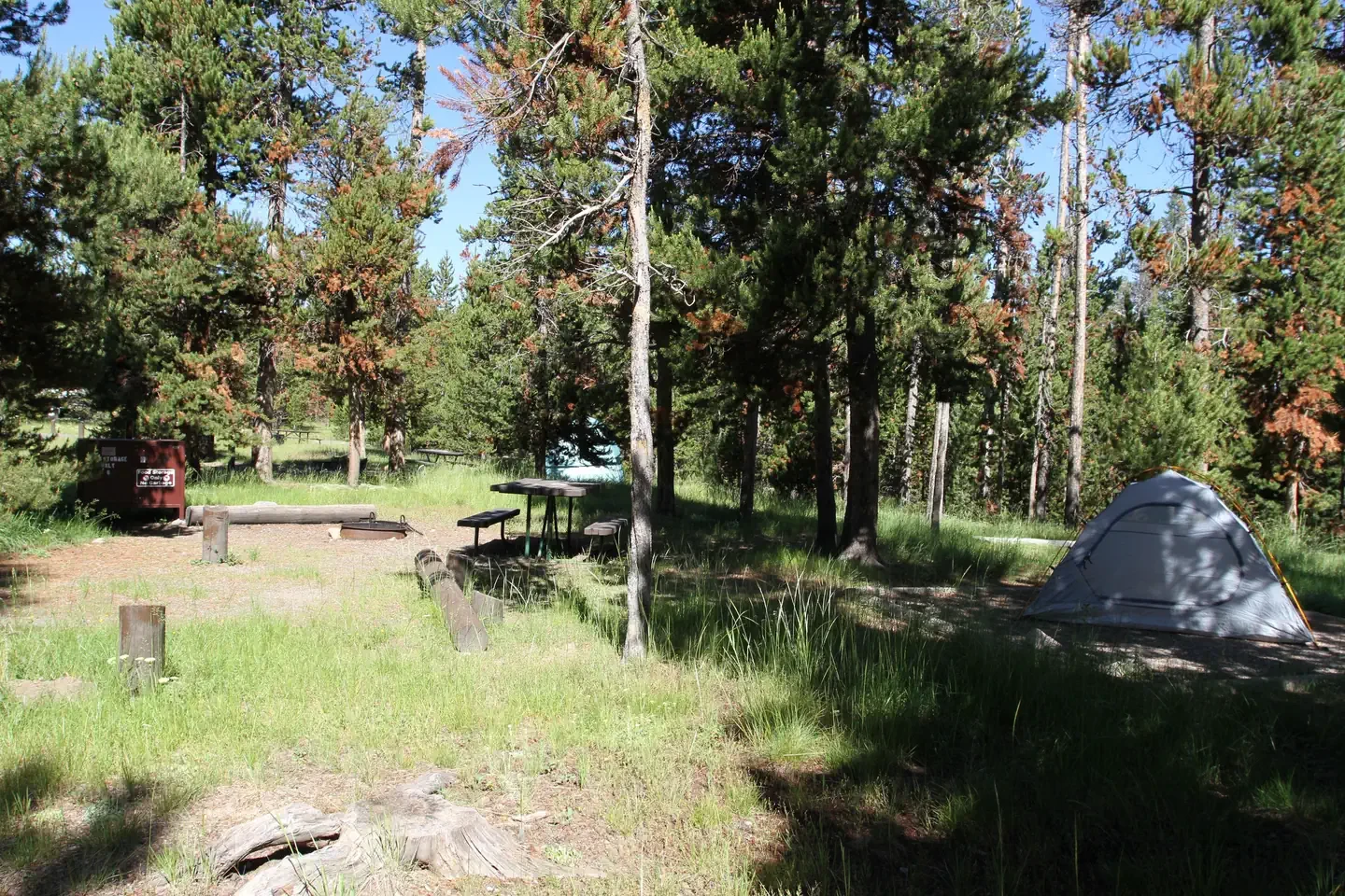Indian Creek site #6