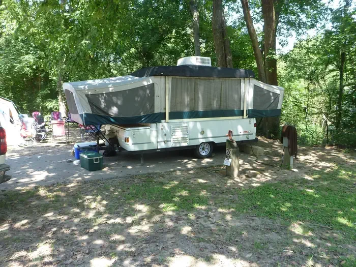 D60