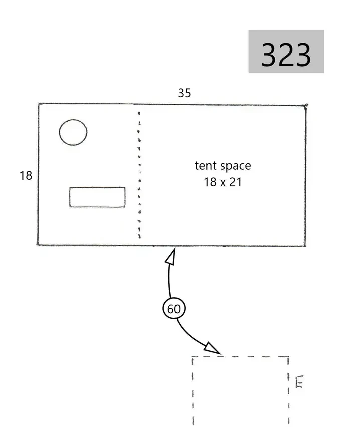323