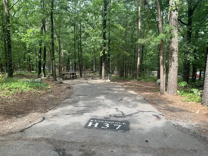 H37