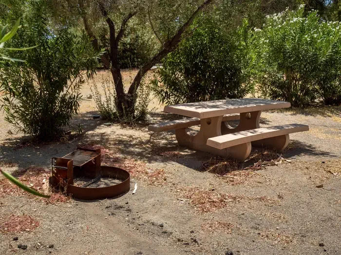 Site 11