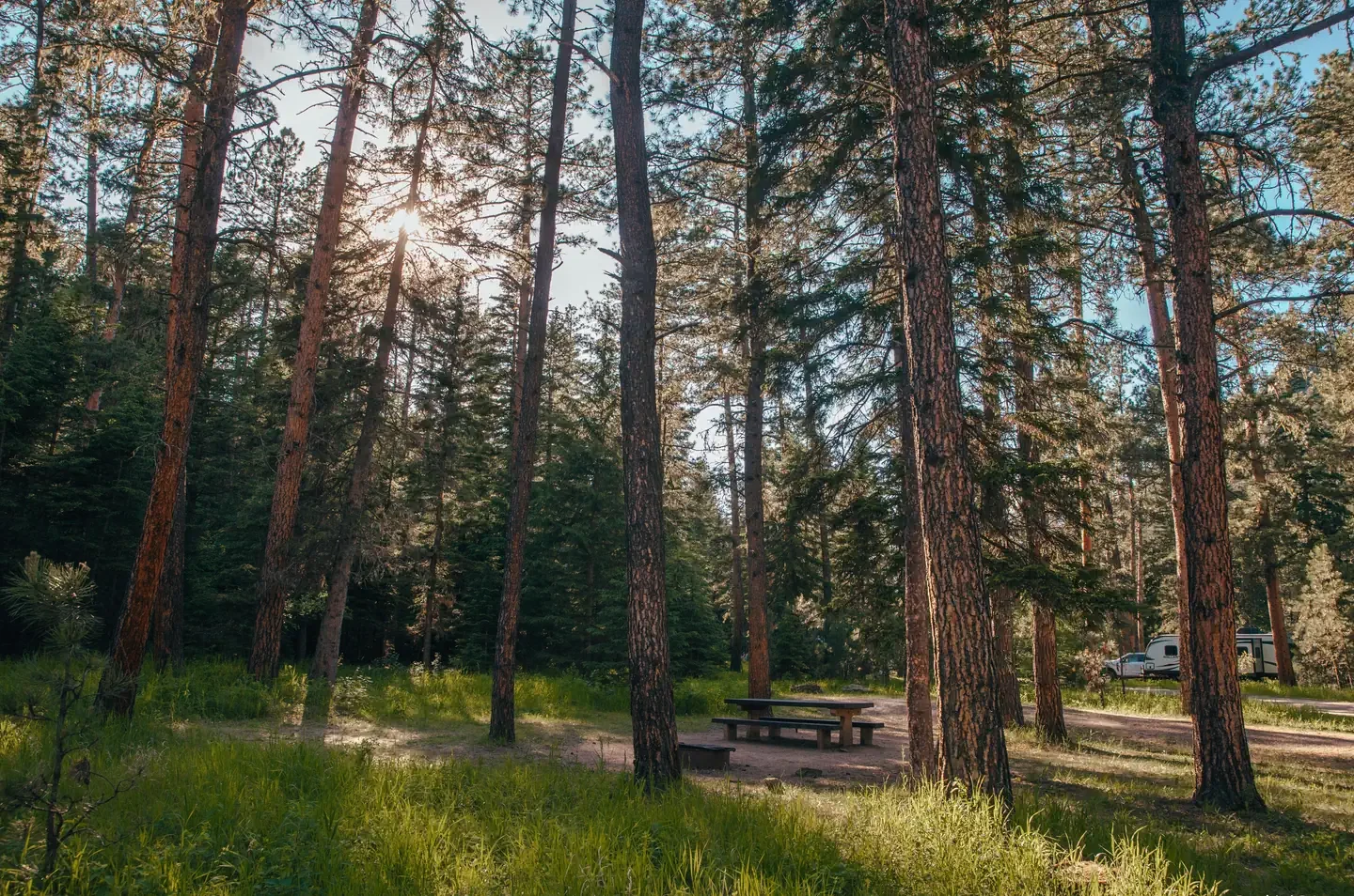 Boxelder Forks Campground
