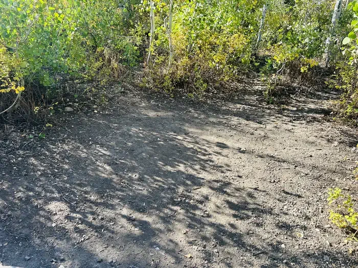 A09