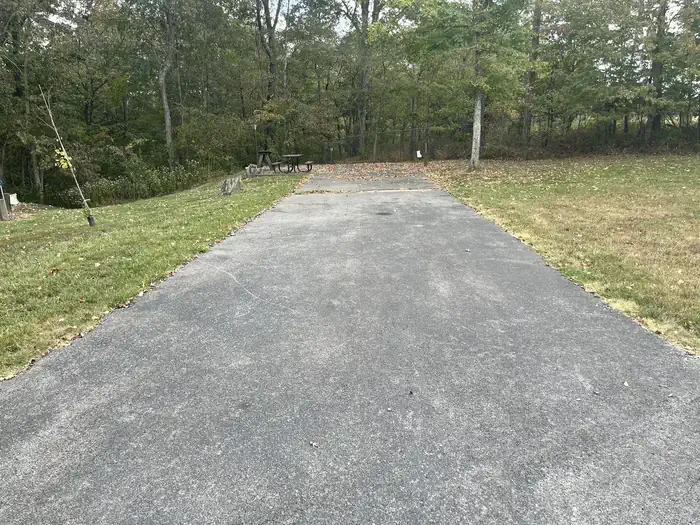 D038