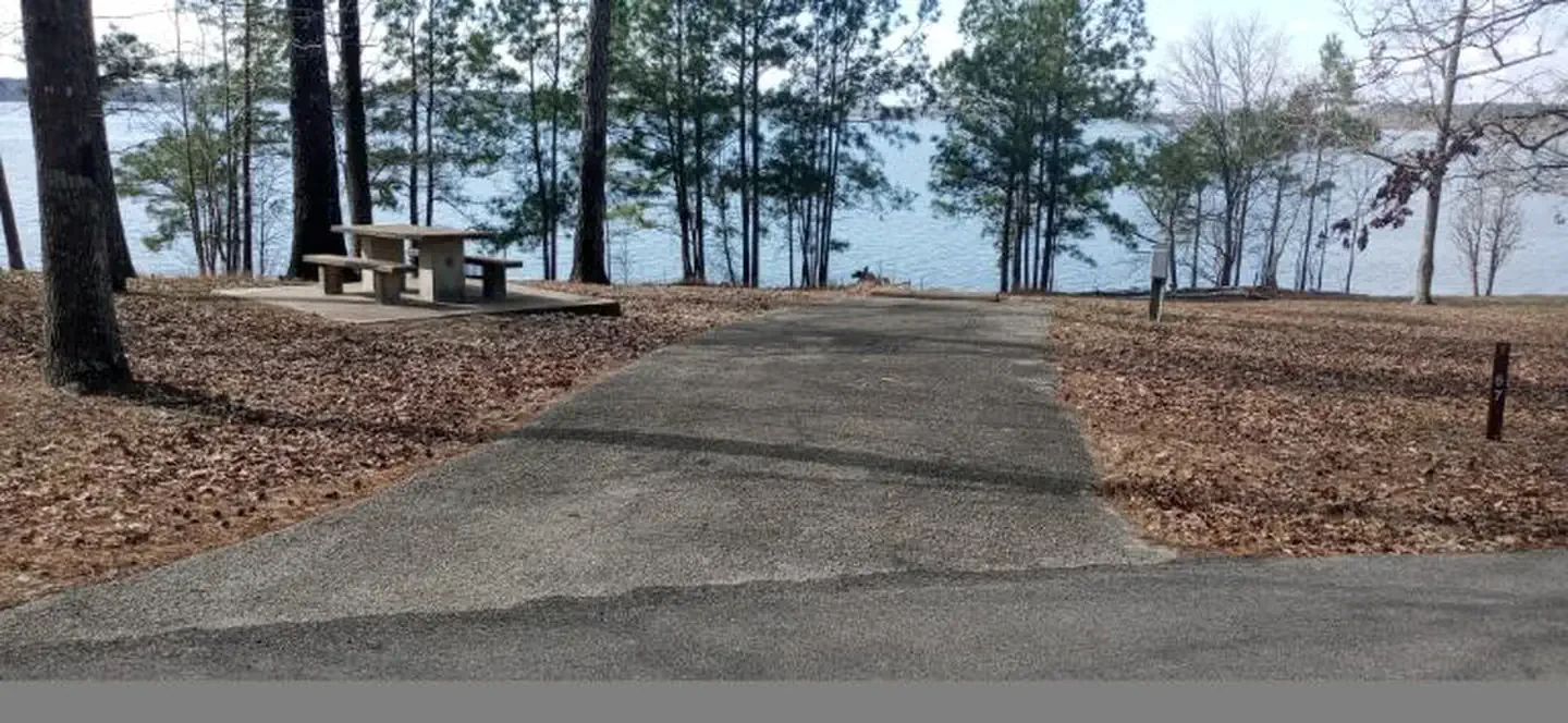 67