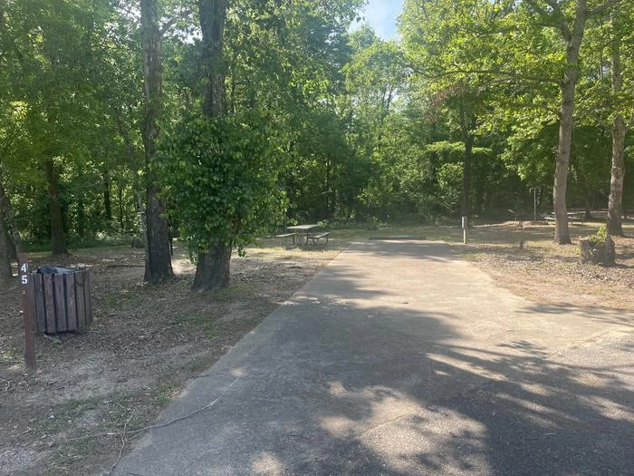 Site 45