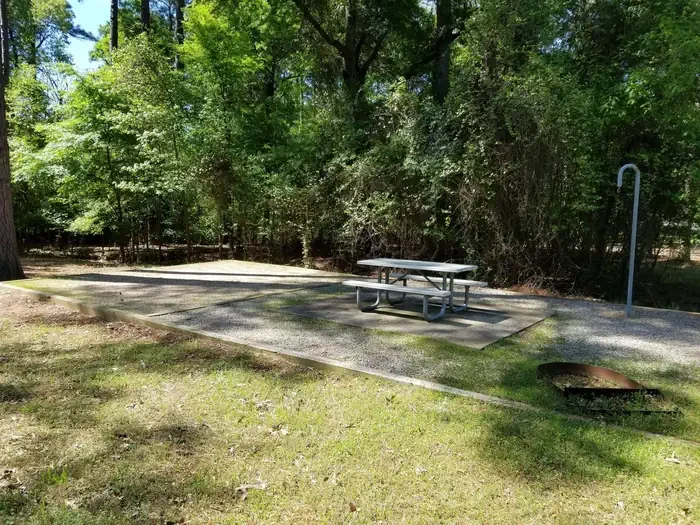 T101