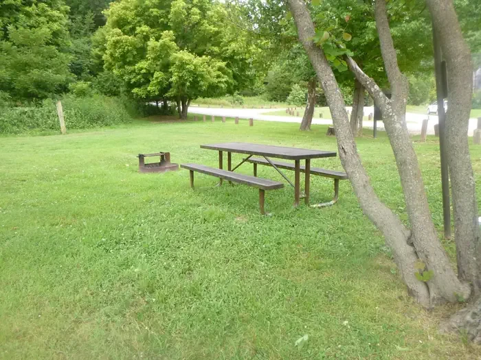 27 - Horse Site